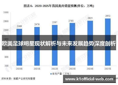 欧美足球明星现状解析与未来发展趋势深度剖析