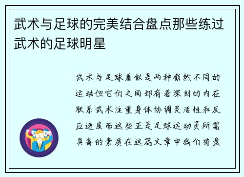 武术与足球的完美结合盘点那些练过武术的足球明星